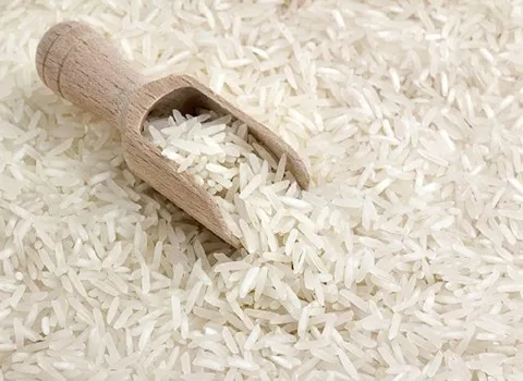 قیمت برنج دمسیاه اصل + خرید باور نکردنی